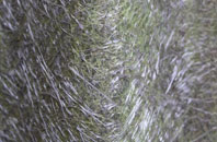 Nant Y Cafn fibreglass roof work